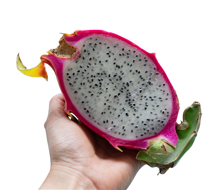 Pitaya cut in half shown in a hand on white background. Dradon's fruit.