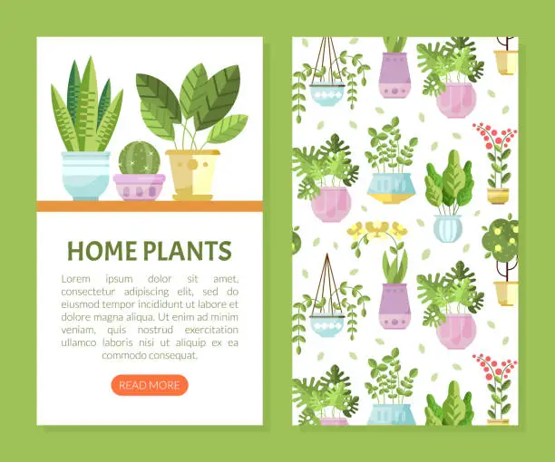 Vector illustration of Houseplant in Ceramic Pots Growing Indoors Web Banner Vector Template
