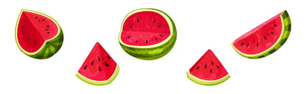 Vector illustration of Fresh and Juicy Watermelon Fruit with Red Flesh and Black Seeds Vector Set