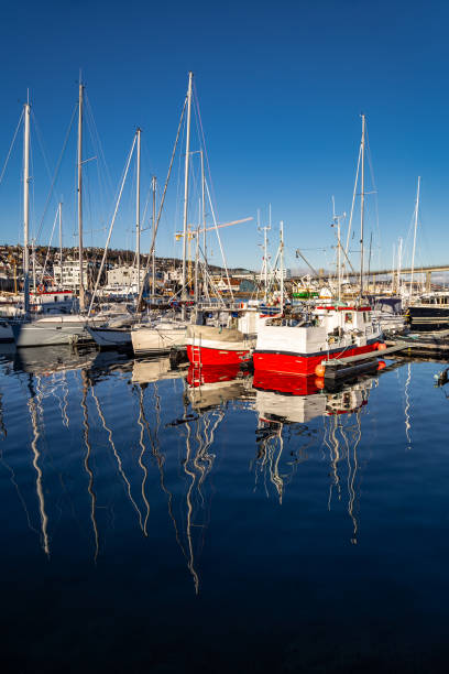 istock Tromso marina blue sky Northern Norway 2076106555