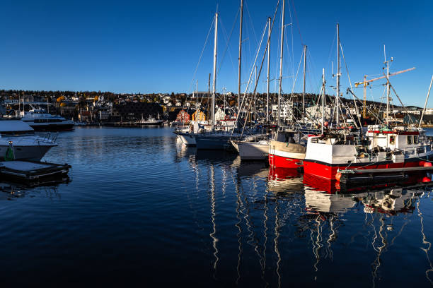 istock Tromso marina blue sky Northern Norway 2076107065