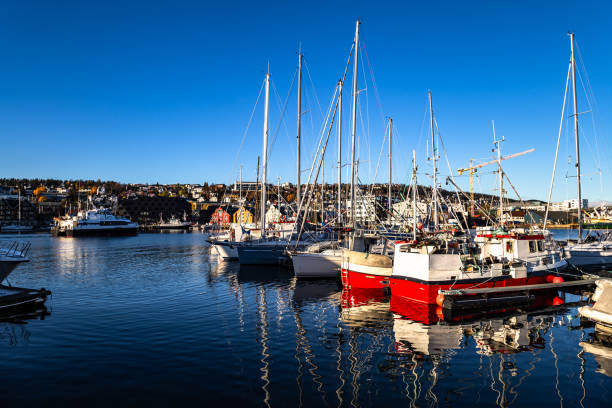 istock Tromso marina blue sky Northern Norway 2076107068