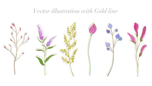 istock WSpring flower and leaf illustration with gold line. Simple and flat design botanical flowers vector illustration set. 2076131058