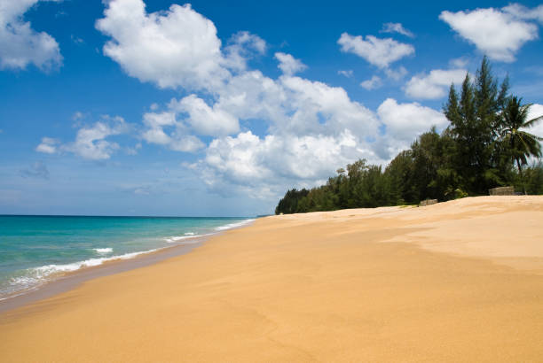 istock empty sandy beach with clear water on an ocean side with blue sky and clouds 2076143380