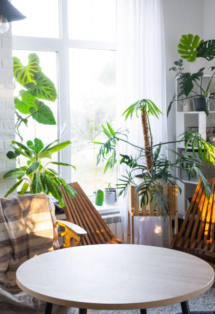 istock Empty round table for installation and demonstration of product in interior with Tropical indoor plants in country green house . Houseplant Growing and caring for potted plant, greenhome in cottage 2076150949
