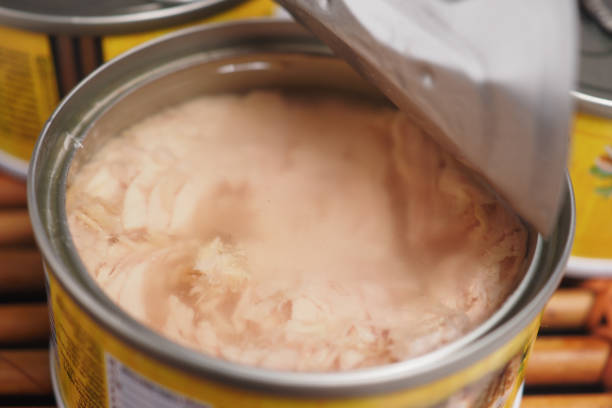 istock canned tuna on wooden table , 2076195996