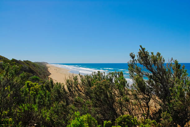 istock A Beautiful Beach In Southern Victoria, Australia. 2076211134