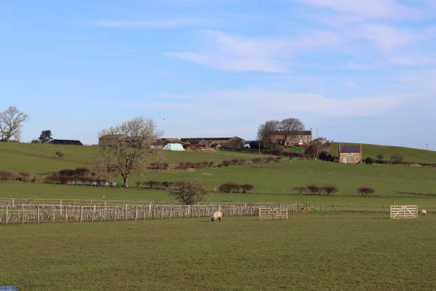 istock View across farmland in spring sunshine 2076219416