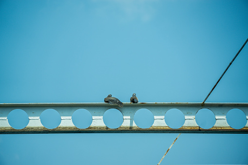 Two pigeons are sitting on a metal beam. The sky is clear and blue. The birds are looking down at the ground