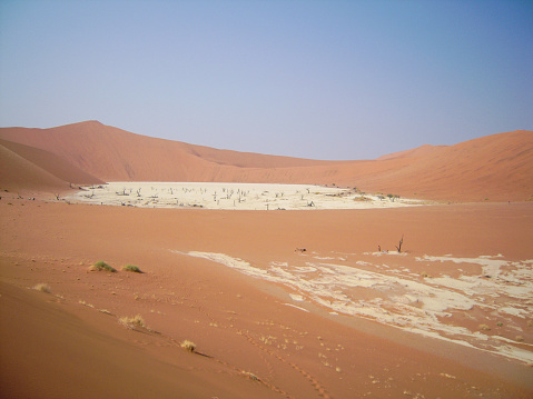 Early morning view on oryx gazellas in front of big sand dunes at the famous landmark Sossusvlei, Namib Desert, Namib Naukluft Park, Namibia