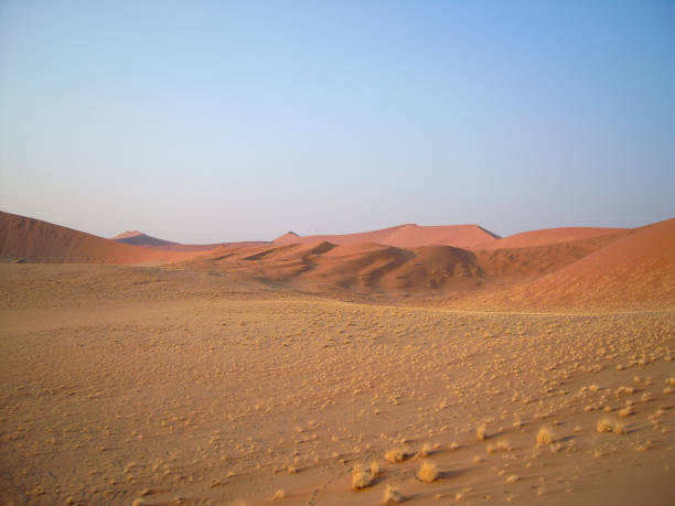 Golden sand of desert, Namibia
