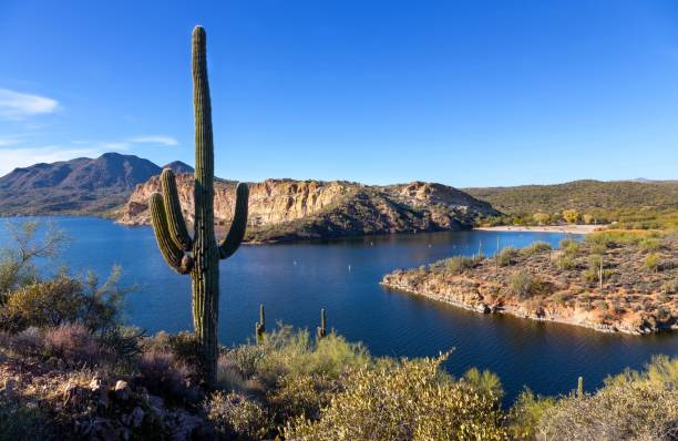 istock Saguaro Lake Panorama with Desert Cactus Foreground View 2076255584