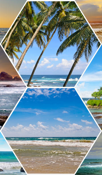 istock Picturesque tropical beach. Photo collage. 2076266051