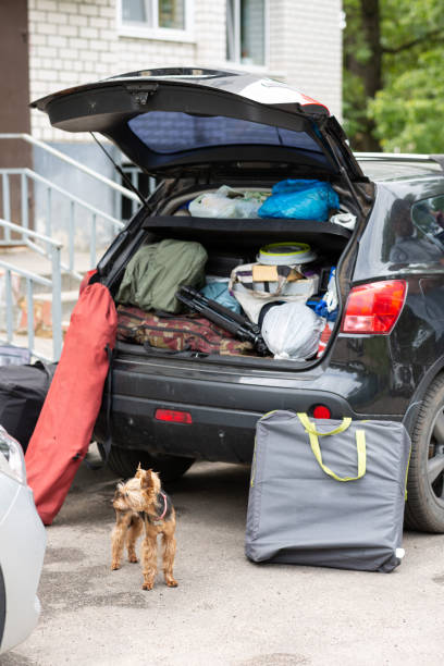 The trunk of a car loaded with camping equipment