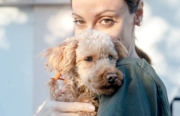 istock Charming woman with her little dog 2076280090