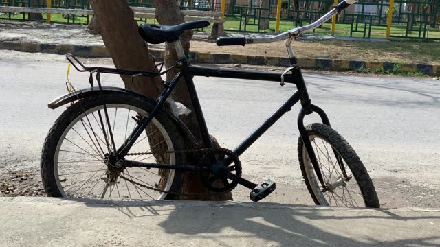 A black old bicycle is parked in the shade of a tree.