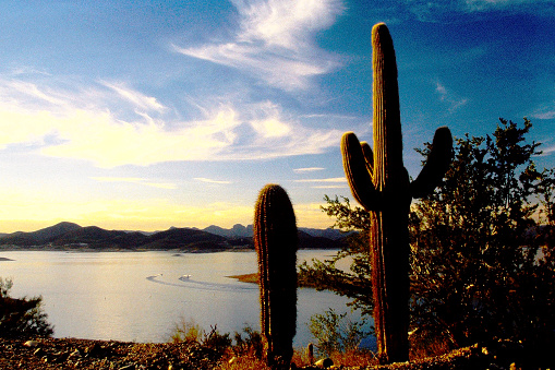 Arizona in 2003, from old camera film.