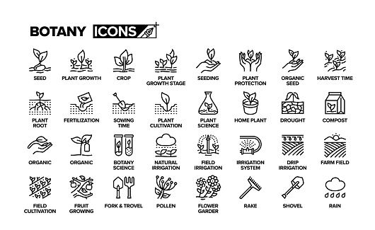 Botany Line Icon Set. Planting, Agriculture, Farming, Seed, Cultivation, Harvesting.