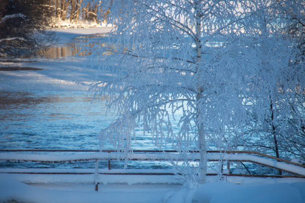 winter landscape