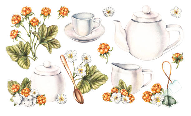 Watercolor white tea set, tea bags, sugar and cloudberries isolated on white Watercolor white tea set, tea bags, sugar and cloudberries isolated on white. Tea set for design of packaging, labels, food products, etc. blue cup stock illustrations