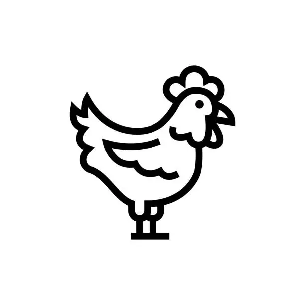Vector illustration of Chicken and Poultry Line Icon
