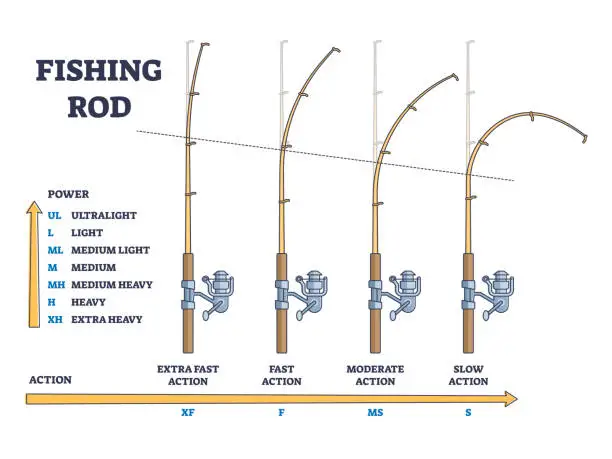 Vector illustration of Fishing rod power vs action comparison for curvation angle outline diagram