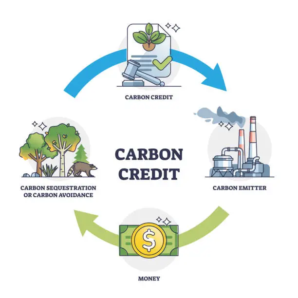 Vector illustration of Carbon credit practice cycle with greenhouse gas control outline diagram