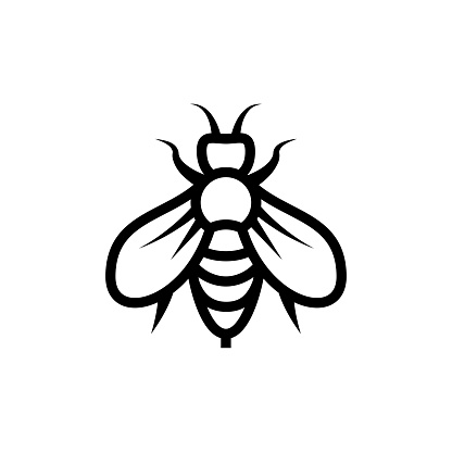Honey Bee and Apiculture Line Icon