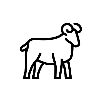 Ram Animal Line Icon