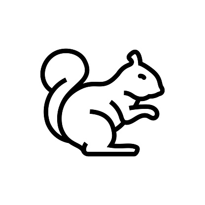 Squirrel Line Icon