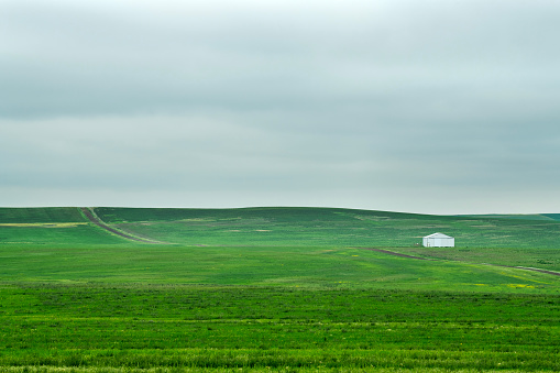 Farm field in North Dakota, USA