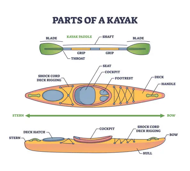 Vector illustration of Parts of kayak boat and mechanical sea paddle structure outline diagram