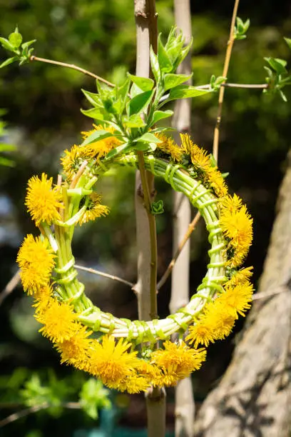 Photo of Dandelion wreath on the spring tree