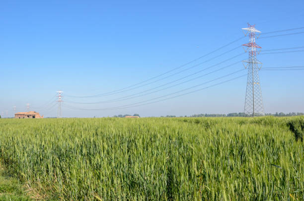 istock Tall high voltage electricity towers in cultivated fields on a sunny day 2076570984