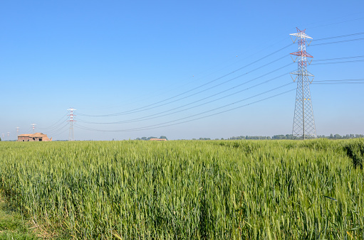 Tower with electric power lines for transfering high voltage electricity located in agricultural field