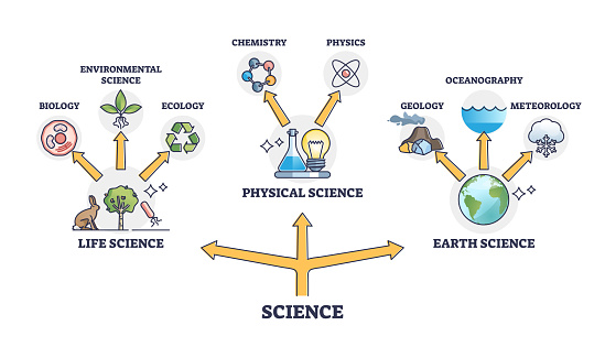 Interconnection Science Life Physical And Earth Science Branches Division Network Outline ...