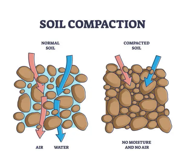 Vector illustration of Soil compaction method and compared normal with compacted outline diagram