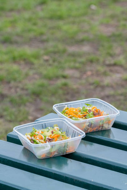 istock 2 salads in plastic food containers on picnic bench 2076613423