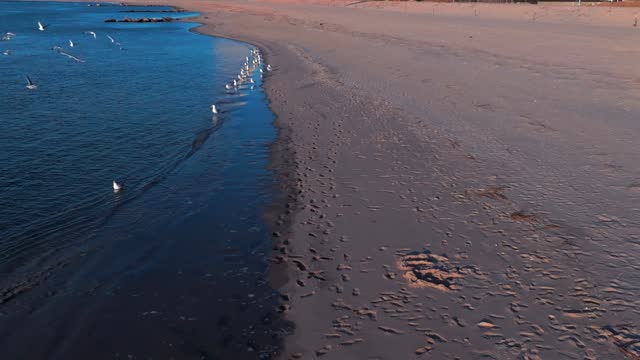 A low angle view of the beach on Reynolds Channel in Atlantic Beach, NY during sunrise. Seagulls are taking off in slow motion. The camera dolly in over the relaxing scene.