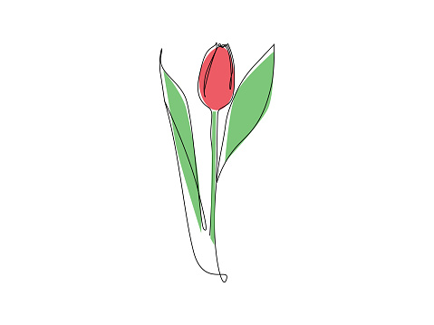 Tulip one line drawing. Flower one line. Abstract flower continuous line. Minimalist contour drawing of tulip. Continuous line drawing of flower tulip. Hand drawn sketch of flower with leaves.