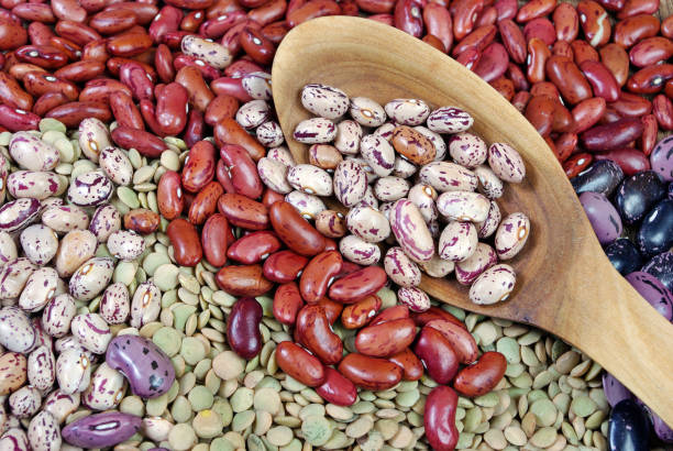 istock Different varieties of kidney beans and lentils 2076710863
