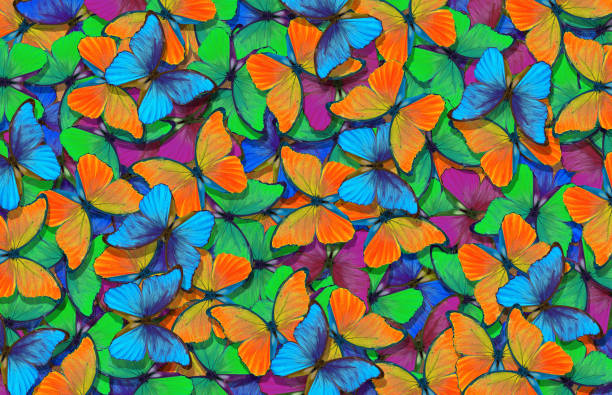 bright colorful morpho butterflies texture background. colorful tropical background.