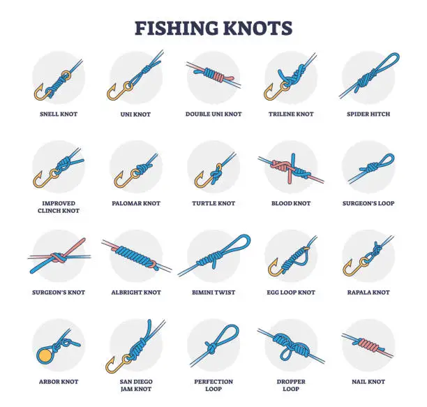 Vector illustration of Fishing knots examples collection with all types titles outline diagram