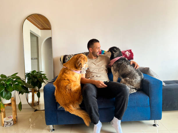 istock dog care at home. 2076794940