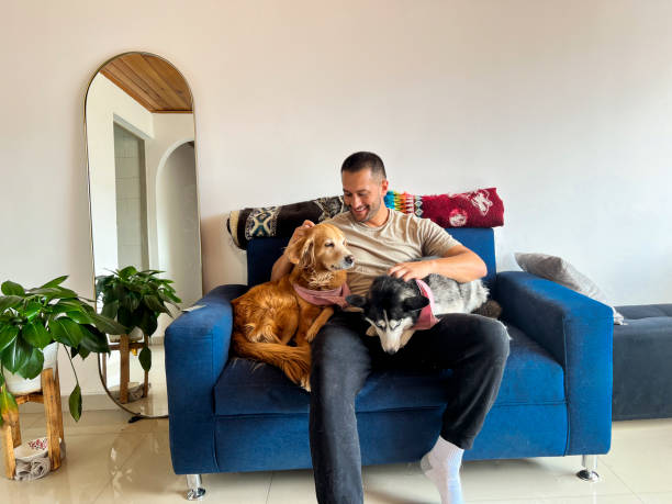 istock dog care at home. 2076794947