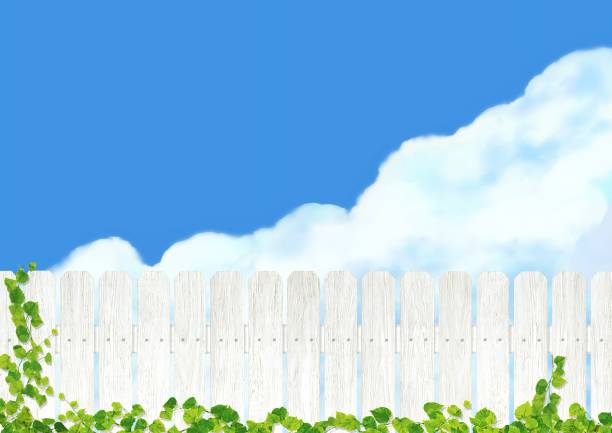 ilustrações de stock, clip art, desenhos animados e ícones de white wooden fence and blue sky/a - ivy backgrounds wood fence