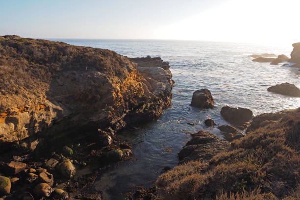 istock Point Lobos State Natural Reserve, California. 2076834090