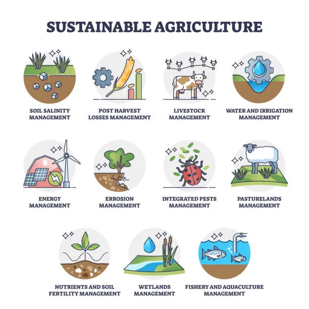 Vector illustration of Sustainable agriculture set with eco harvest management outline collection