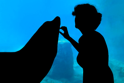 Woman playing with a sea lion in Aquarium