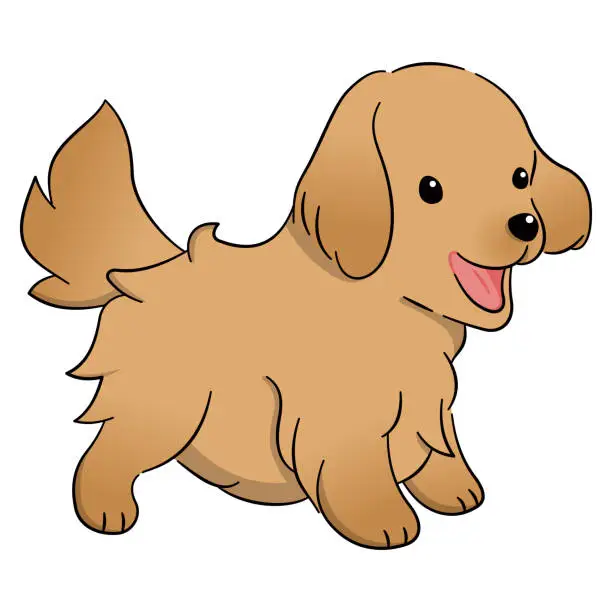 Vector illustration of Illustration design of a hand drawn cute baby golden retriever dog cartoon style isolated on white background